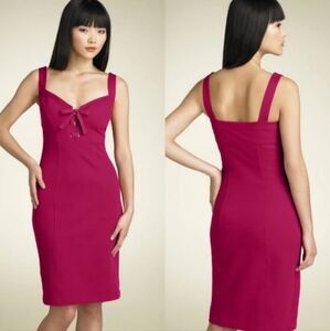 Diane Von Furstenberg Sheath Dress Rasberry Cocktail Party Guest